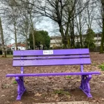 Panchina viola epilessia nel parco di Cassano Magnago