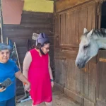 Visita alla scuderia: incontro con il cavallo bianco – vacanze estive ELO 2026