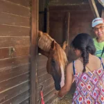 Una carezza al cavallo nel box della scuderia – vacanze ELO 2026 a Cantalupa