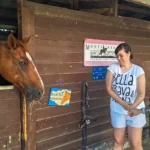 Il cavallo si affaccia dal box per salutare i ragazzi – vacanze estive ELO 2026