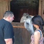 Coccole al cavallo bianco durante la visita in scuderia – vacanze ELO 2026
