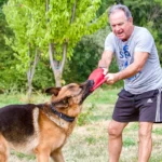 Gioco con il cane nel prato della casa vacanze – vacanze estive ELO 2026